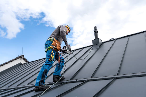 Best Sheet Metal Roofing  in Jonesboro, GA